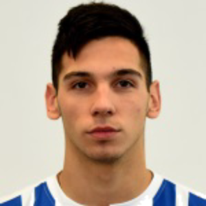 P. Vukcevic