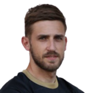 N. Braunovic