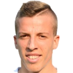 N. Vlajkovic