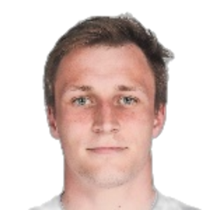 D. Sibilev