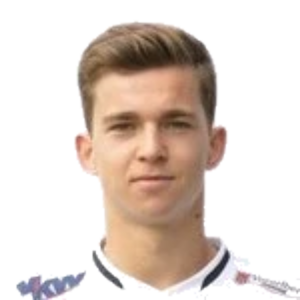 V. Müller