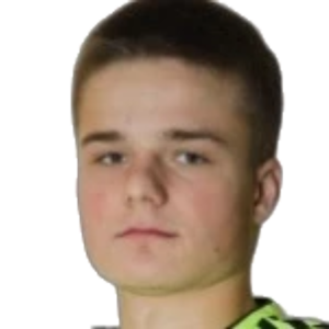 K. Yankovskiy