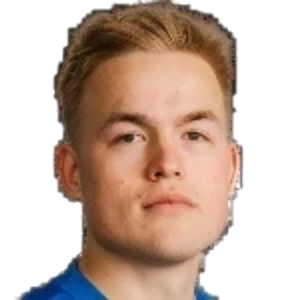 V. Vehkonen