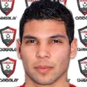 D. Meza Colli